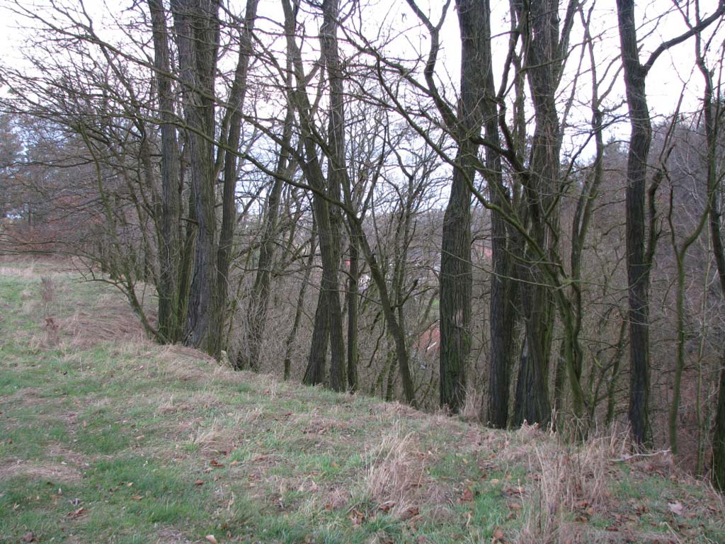 070