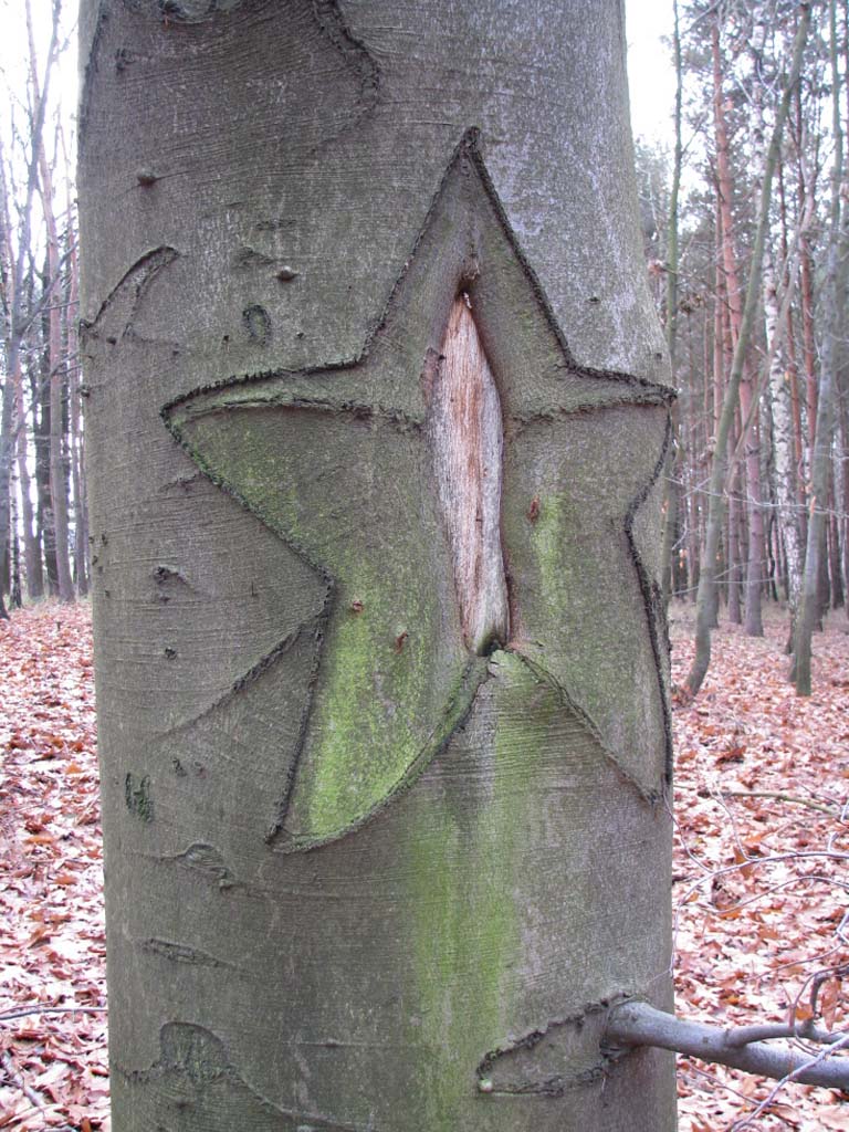 181