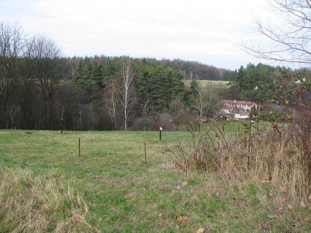 200