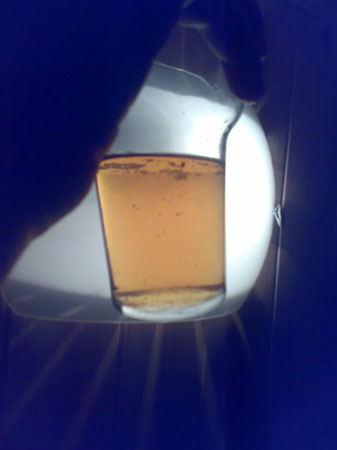 09112007306
