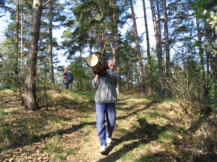 carodejnice (1)