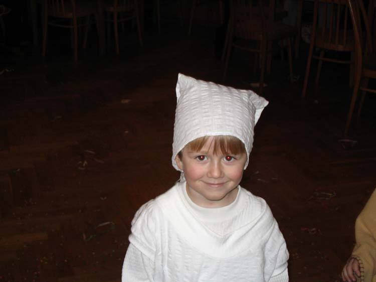 karneval (12)